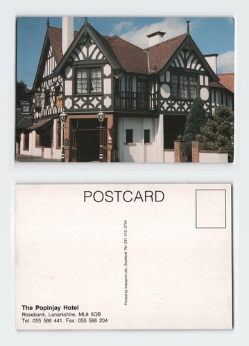 Vintage postkarte the popinjay - vintage,