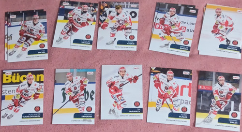 Del2 eispiraten crimmitschau - del2,