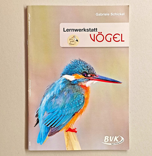 Lernwerkstatt vögel - lernwerkstatt,