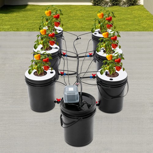 Deep water culture hydroponic - water,