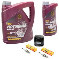 Öl 4L Inspektion Set für