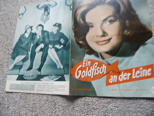 Ifb 6761 ein - ein, goldfisch