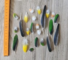 23 bunte 🧡🤍💛💚