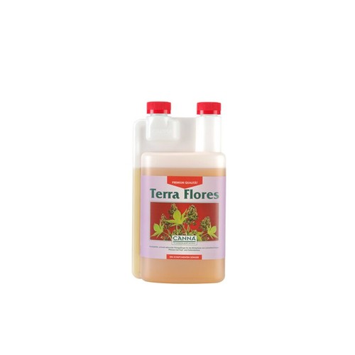 Canna terra flores - terra,