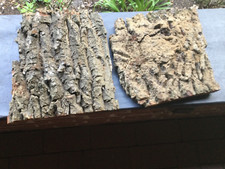 Eichenrinde von über