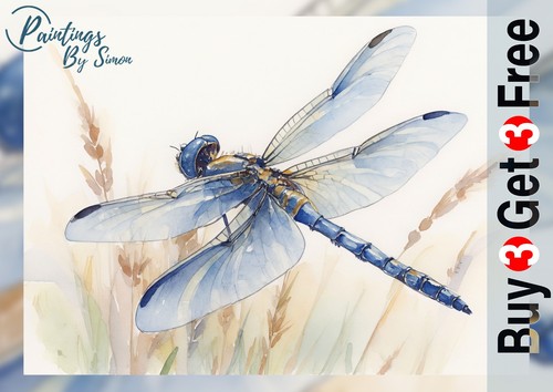 Libelle 5x7 druck - libelle, auf