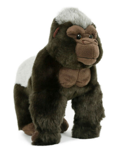 Affe gorilla silberrücken - affe,