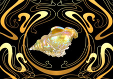 Joh. Loetz Witwe Candia Papillon Shell PN II 2/491 Jugendstil Glasvase um 1902