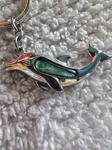 Schlüsselanhänger souvenir - schlüsselanhänger,