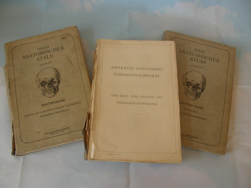 Bände anatomischer atlas - bände,