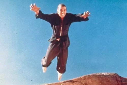 Kung 1972 david - fu,