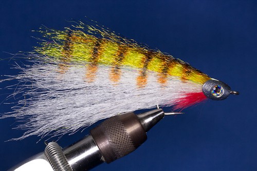 Fliegentom 1666 fishskull - fliegentom,