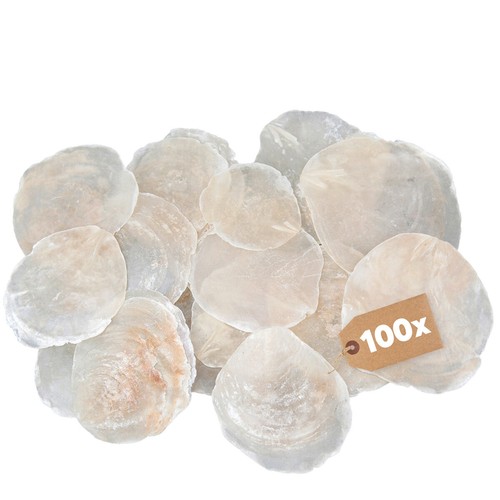 Perlmuttscheiben küstenzauber - perlmuttscheiben,