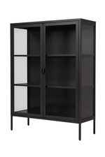 Metall-Vitrinenschrank mit