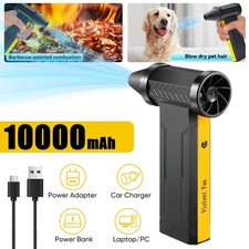 Elektrische Staubgebläse