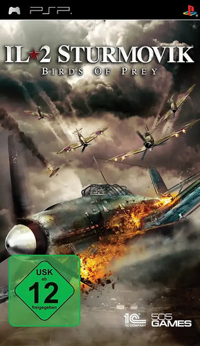 Sturmovik birds of prey - birds,