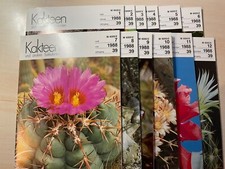 Kakteen und andere Sukkulenten