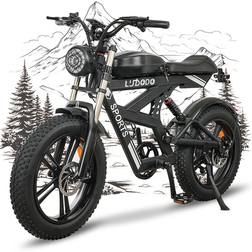 Bike 48v 17 8ah - e,