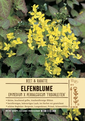Elfenblume epimedium perral - x,