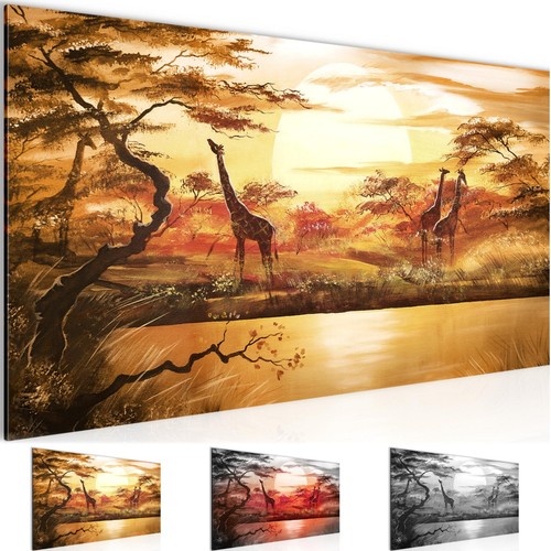 Wandbild afrika giraffe bild - wandbild,