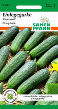 Einlegegurke Diamant (F1) -