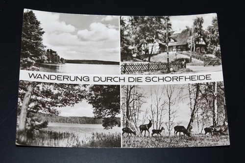Ak wanderung durch die - s/w., mb-ak