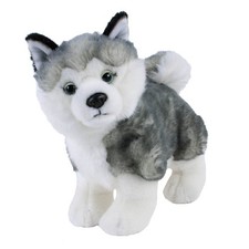 Kuscheltier hund husky - kuscheltier,