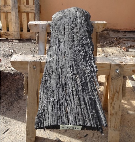 Mooreiche moorholz altholz - mooreiche,