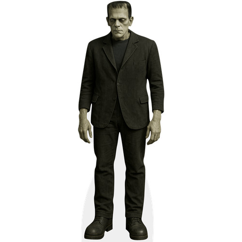 Frankenstein monster - frankenstein’s,