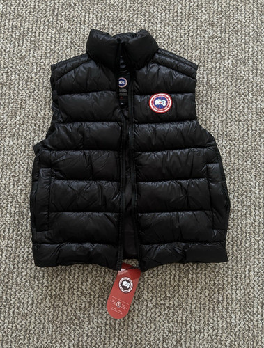 Canada goose arctic program - goose,