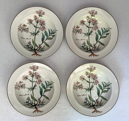 Villeroy boch botanica 4 - villeroy, &