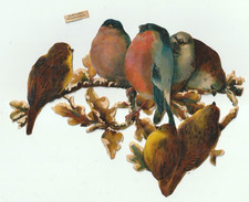 Oblate Scrap die cut Gimpel