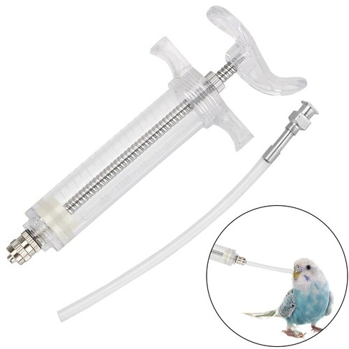 Vögel papageienfütterung - vögel,