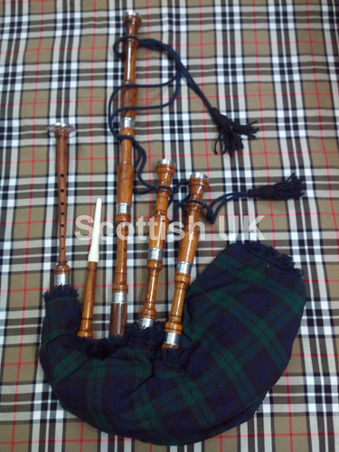 Schottischer toller highland - toller,