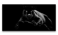 120x60cm Leinwandbild Schwarzer Panther Raubkatze Kraftvoll Dunkel