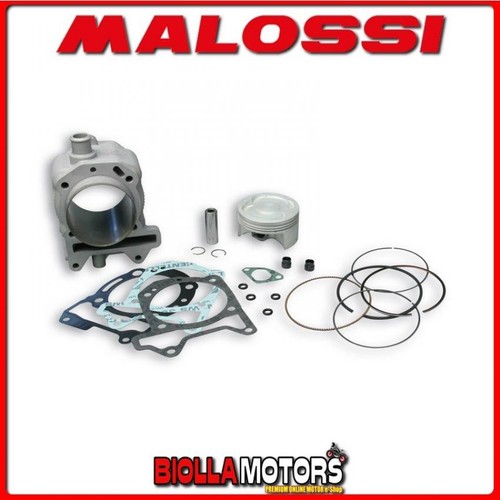 3113955 zylinderkit malossi - 3113955,