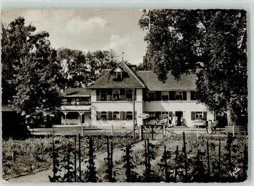 39251139 8815 petersaurach - 39251139,