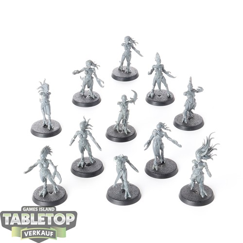 Hedonites slaanesh 11x - hedonites,