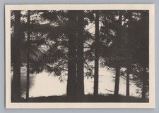 Wald Schwarzenbach-Talsperre -