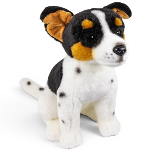 Carl dick jack russel - jack,