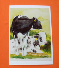 1x  Postkarten  Kühe schwarz