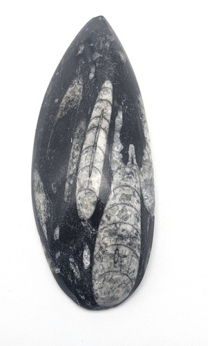 Sm0143 natürlicher - sm0143,