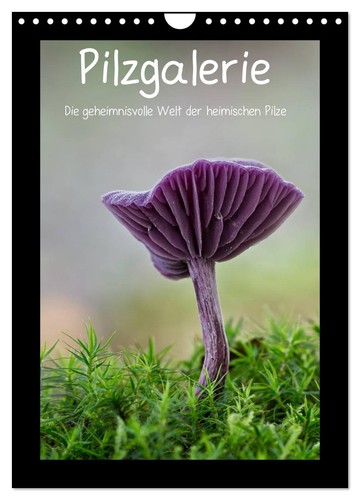 Pilzgalerie die - -,