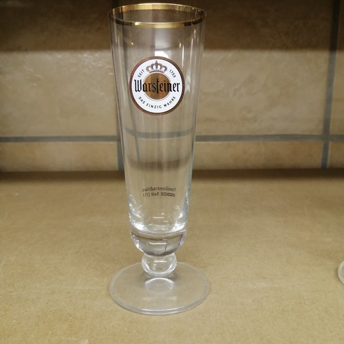 Warsteiner tulpe 1 - tulpe, l