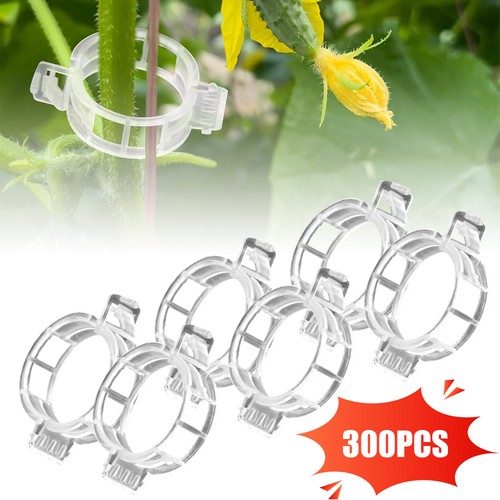 300 stück pflanzenclips - 300,