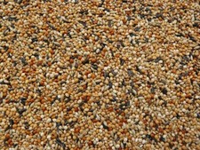 Exotenfutter TOP 10 kg