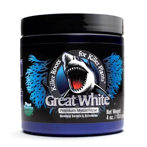 Plant success great - great, white