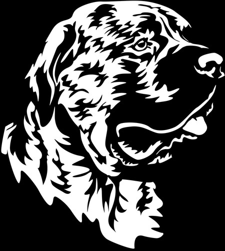 Presa canario aufkleber - canario,