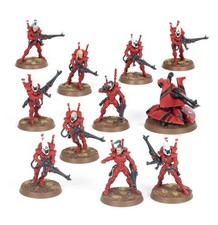 Aeldari Guardian Defenders /