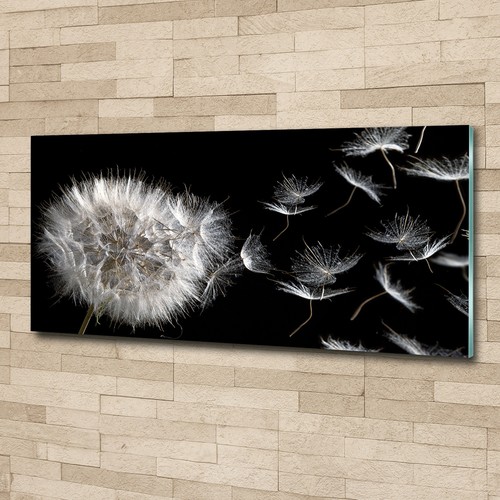 Glas bild wandbilder - glas-bild, druck